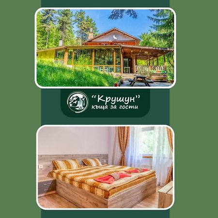 Крушун - Единствена На Метри От Водопадите, Krushun - The Only Stay Just Meters From The Waterfalls Κρουσούνα Εξωτερικό φωτογραφία